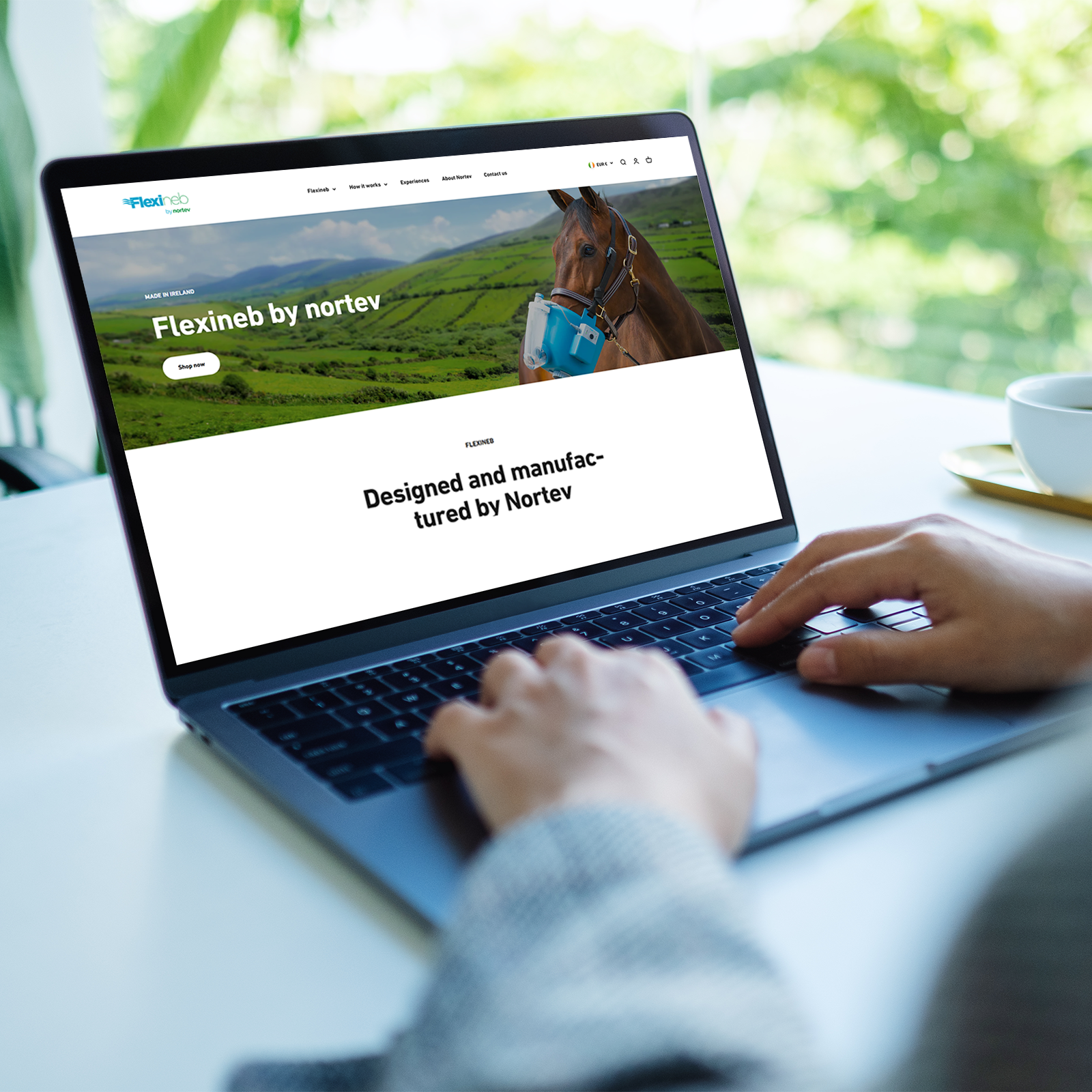Nortev_Website_FAQ_Orders_new