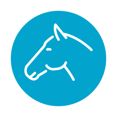 Nortev_Website_Icons_240x240px_Quality-of-Life