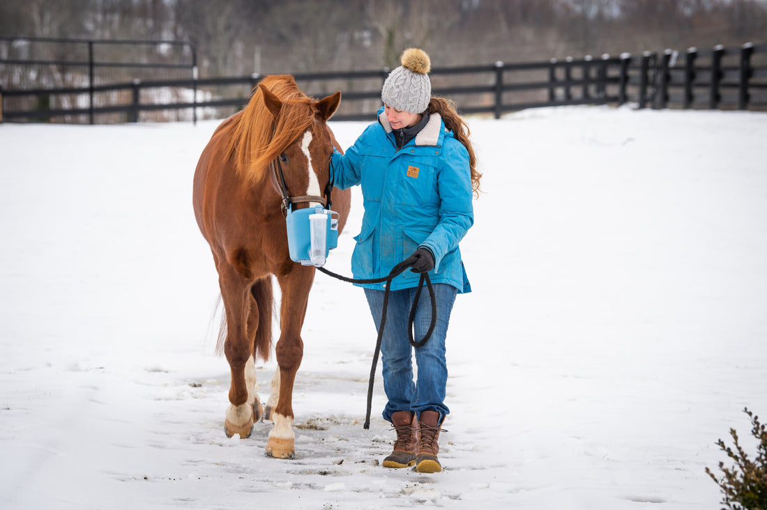 Winter Equine Respiratory Health Challenges, Part 3.