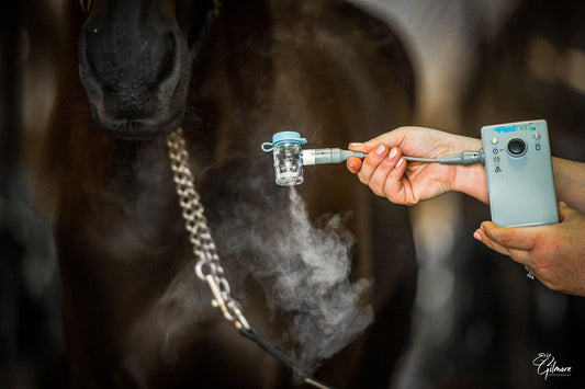 Types of Equine Asthma