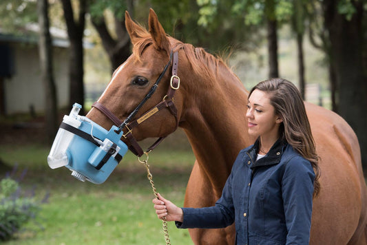 The Benefits of Nebulization for Equine Health