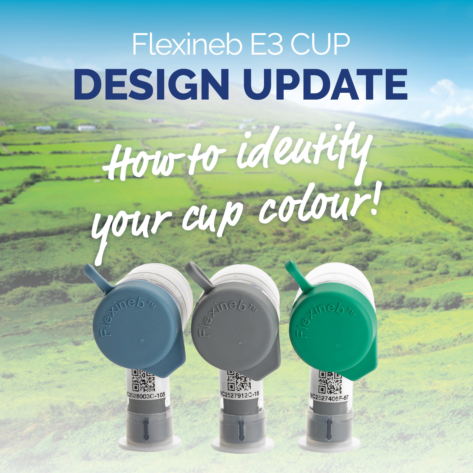 Flexineb E3 Cup
